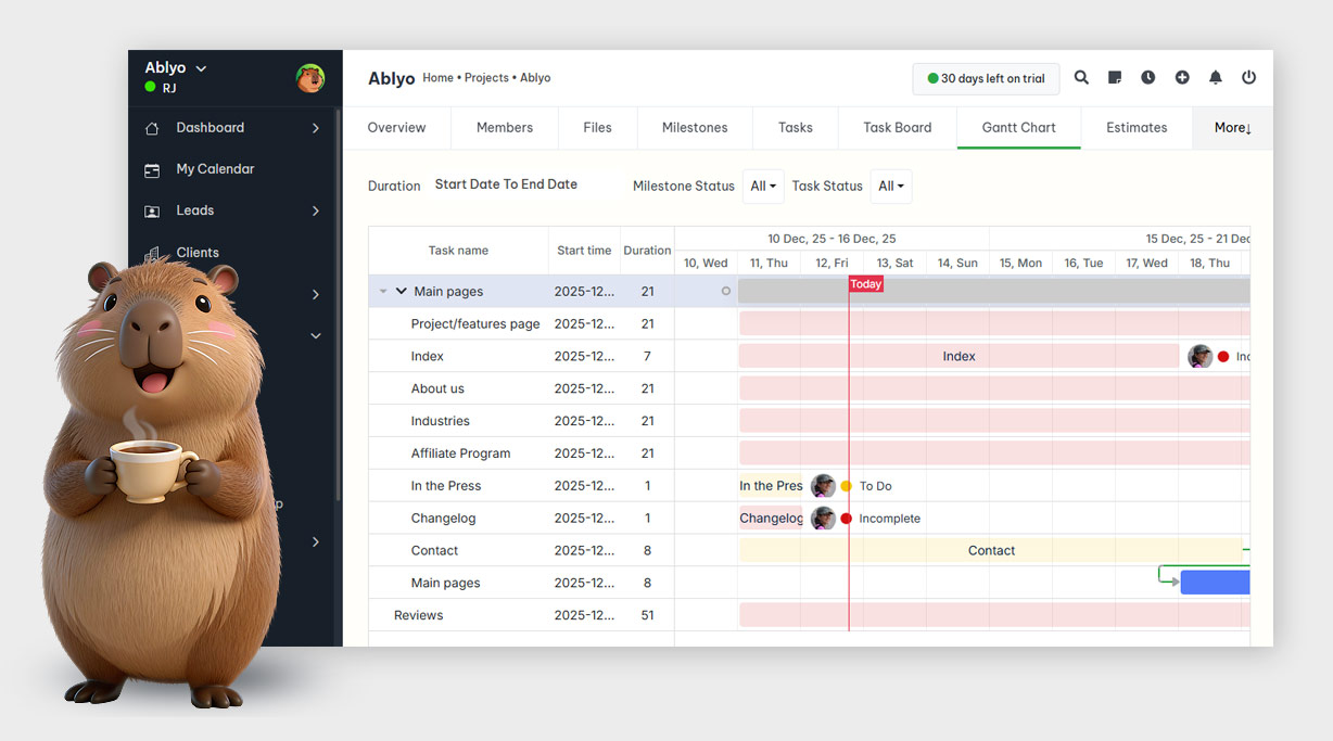 ablyo mascot on dashboard